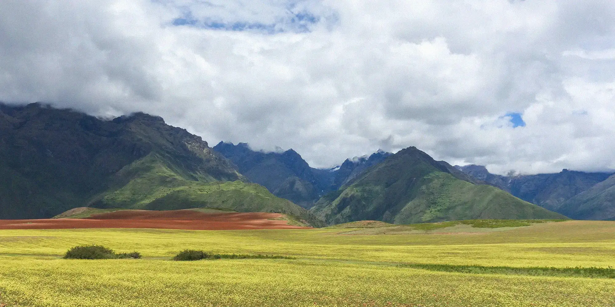 Terraced fields of the Sacred Valley at dawn