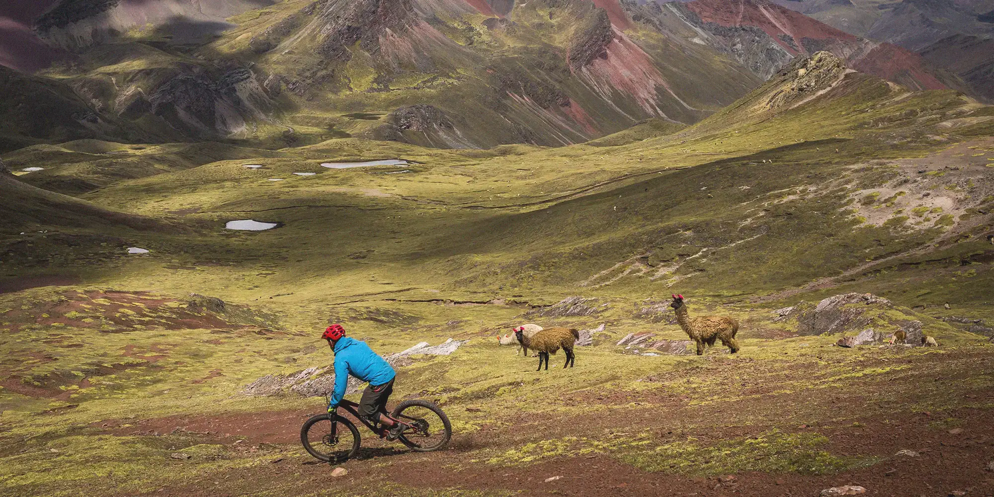 Terraced fields of the Sacred Valley