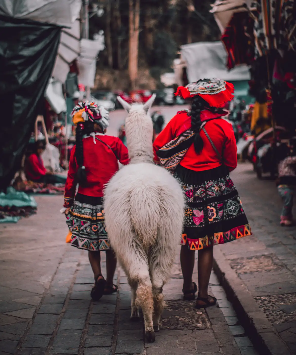 Two Andean women in traditional dress walking a market street