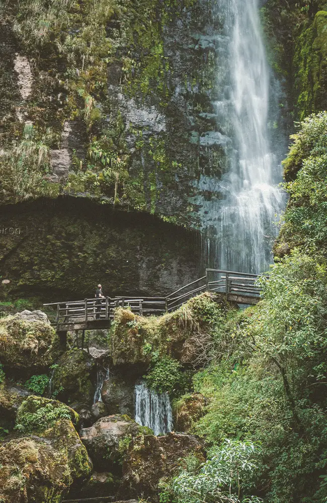 Waterfall plunging through the forest near Baños