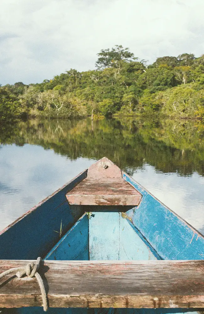 Aerial view of a river winding through the Peruvian Amazon